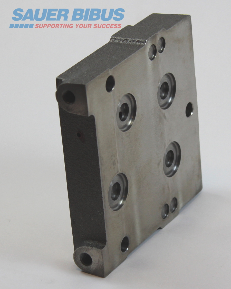 PVSI BSP without connections