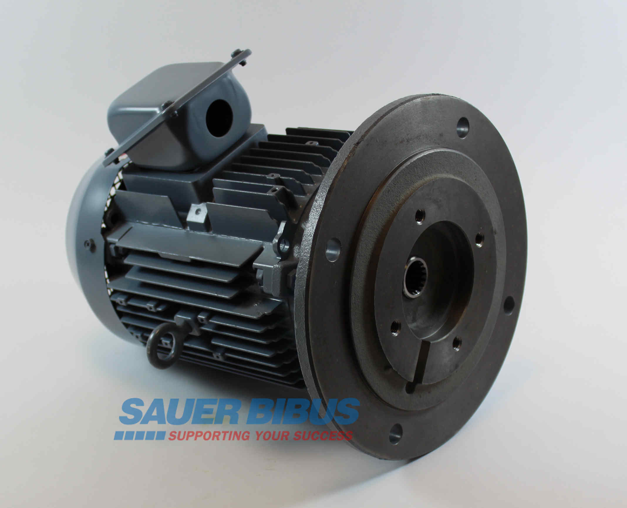 E-MOTOR SERIES 7M (CQTM)